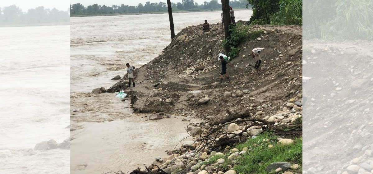 कर्णाली नदीले कटान तिब्र पारेपछि टिकापुरका केही बस्तीमा त्रास